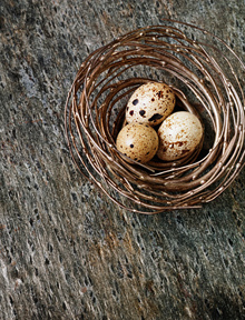 Перепелиные яйца