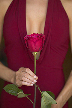 модные платья 2011