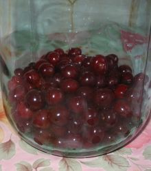 IMG_5203.JPG