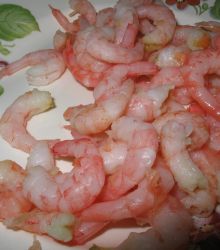 IMG_5512.JPG