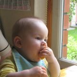 IMG_3182.JPG