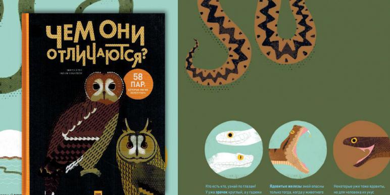 Конкурсы от флоры Конкурсы от флоры