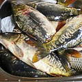 рыбалка