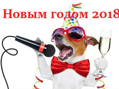 Новости 2018 | Год обезьяны Новости 2018 | Год обезьяны
