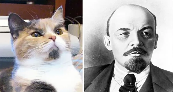 Ленин и кот