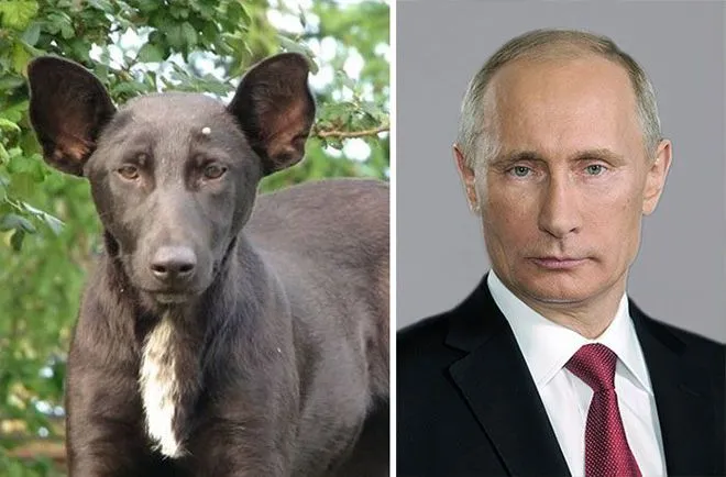 Ж8