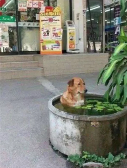 лето 13