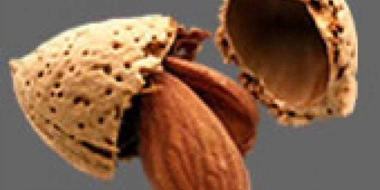 almond.jpg almond.jpg