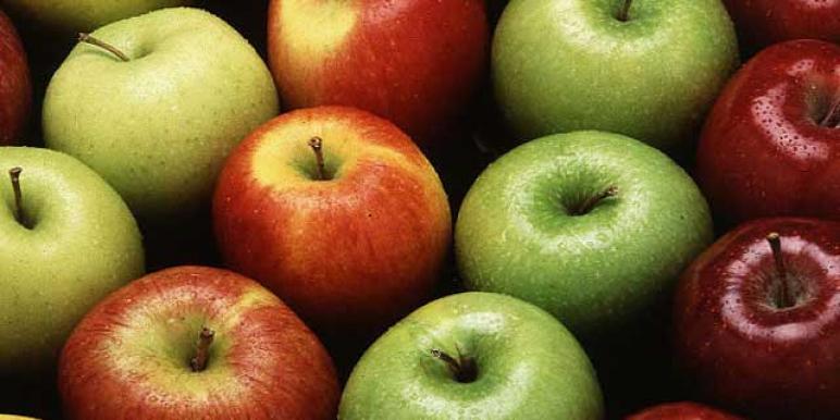 apples.jpg apples.jpg