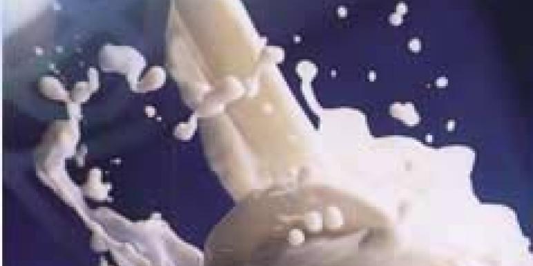 milk2.jpg milk2.jpg