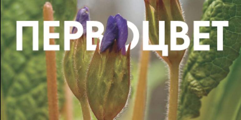 pervotsvet_cover.jpg pervotsvet_cover.jpg
