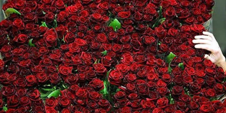 roses.jpg roses.jpg
