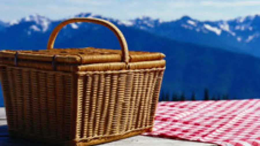 Как организовать интересный пикник.