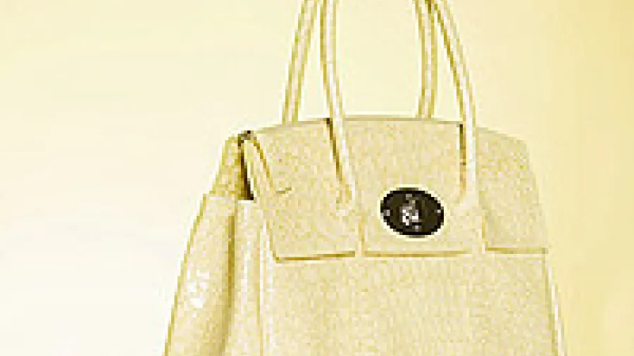 сумка, рука, кисть, кулак