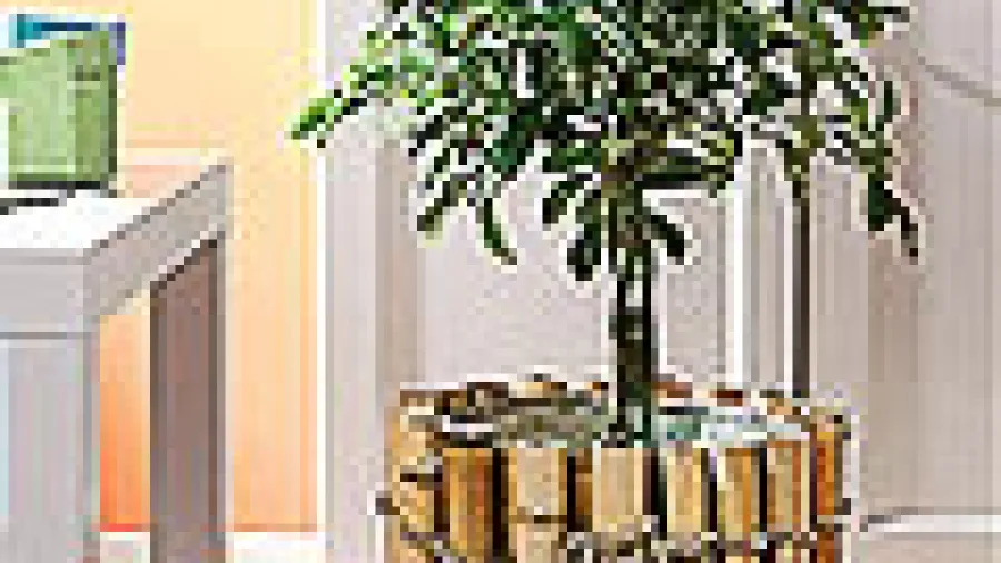 цветочный горшок