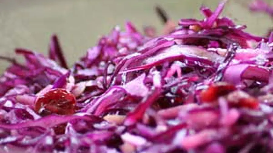 Простой рецепт заготовки краснокочанной капусты со свеклой