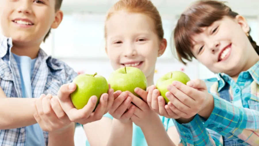 Здоровое питание школьника: 4 важных совета