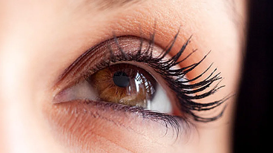 глаза, девушка, веки, ресницы